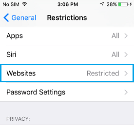Block Websites on iPhone and iPad- tap on Websites option